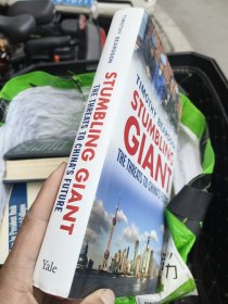 Stumbling on Happiness