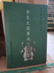 中国古文学大系 金文文献集成 第13册 泡水了，介意慎拍 不影响使用 实物拍摄