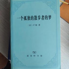一个孤独的散步者的梦