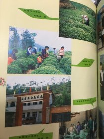 汉中茶业 一版一印