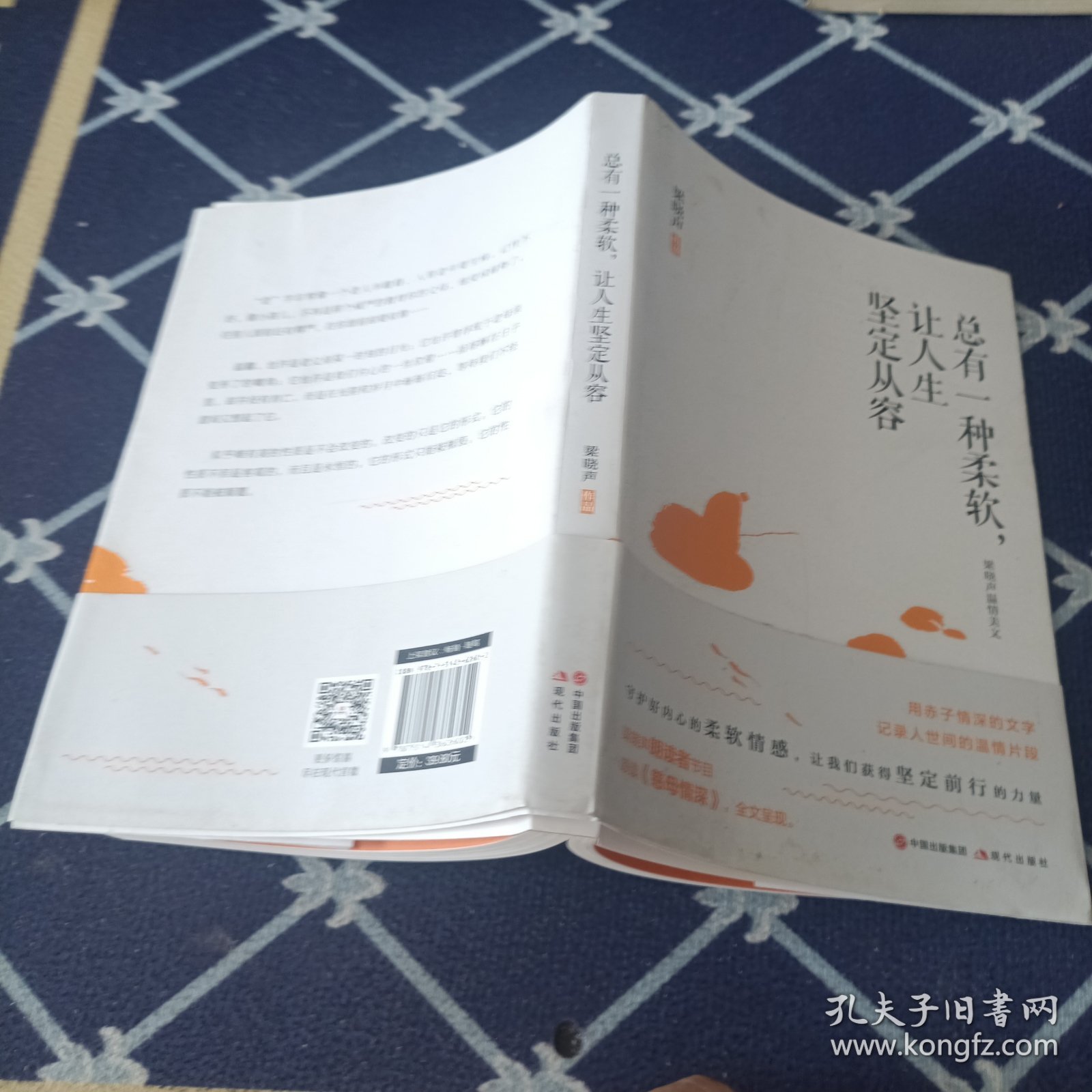 总有一种柔软，让人生坚定从容（梁晓声朗读者节目颂读《慈母情深》，全文呈现）