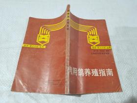 肉用鴿養(yǎng)殖指南