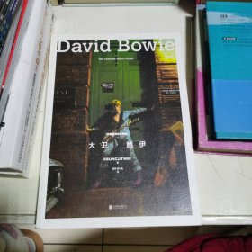 《经典摇滚音乐指南：大卫·鲍伊》：摇滚巨星大卫·鲍伊权威音乐传记，缅怀致敬“摇滚变色龙”的传奇人生。