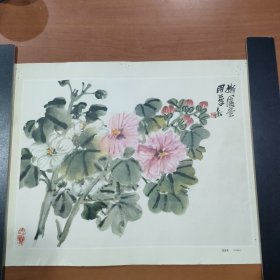 芙蓉花（吴昌硕）