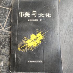 审美与文化