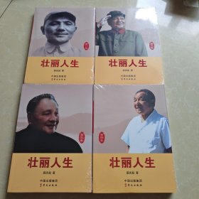 壮丽人生 全四卷-邓小平：从中央军委主席到“改革开放总设计师