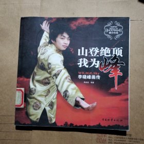 山登绝顶我为峰-李晓峰画传：SKY画传