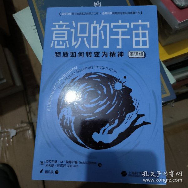 意识的宇宙——物质如何转变为精神（重译版）