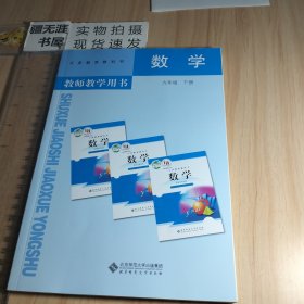 义务教育教科书. 数学教师教学用书. 九年级. 下册