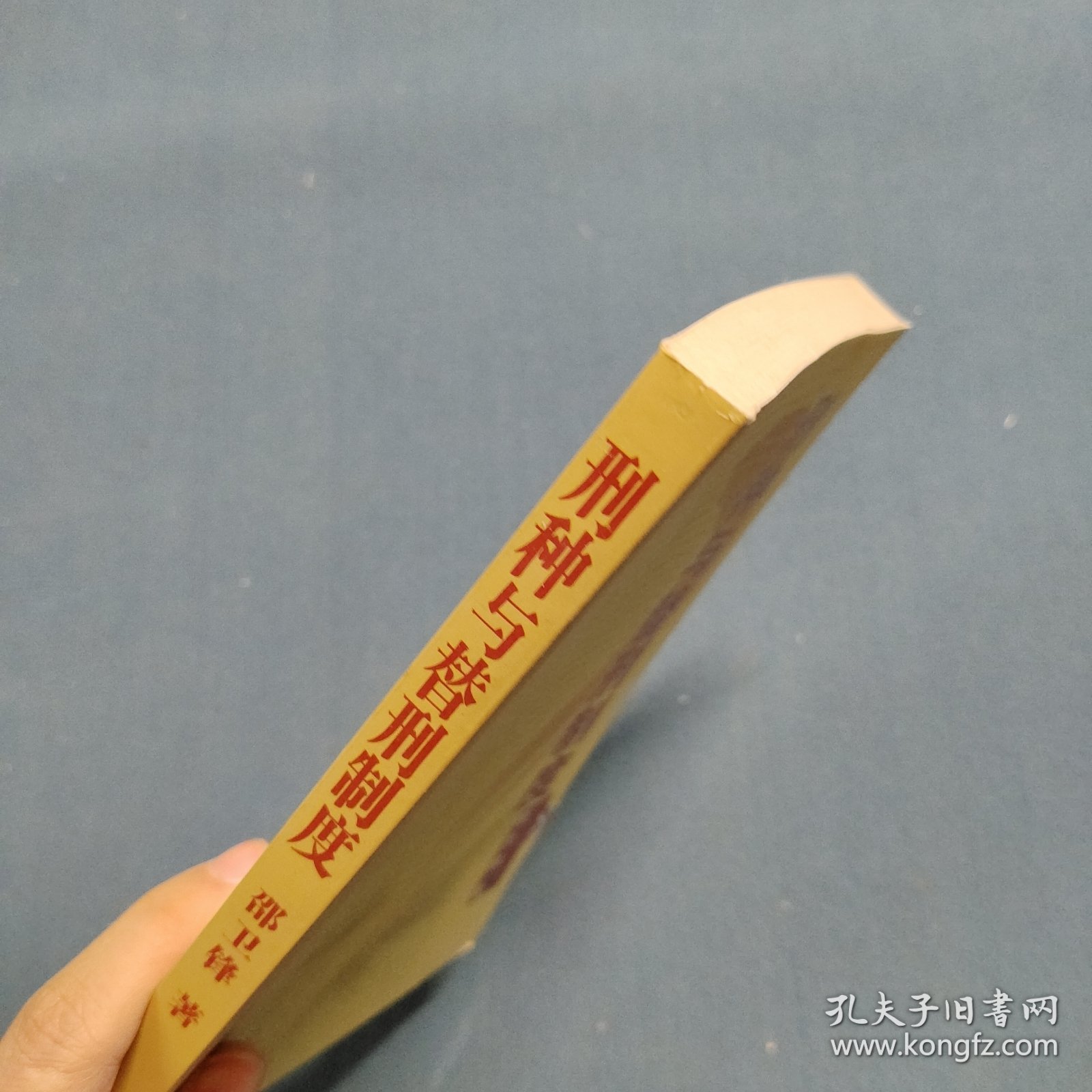 刑种与替刑制度