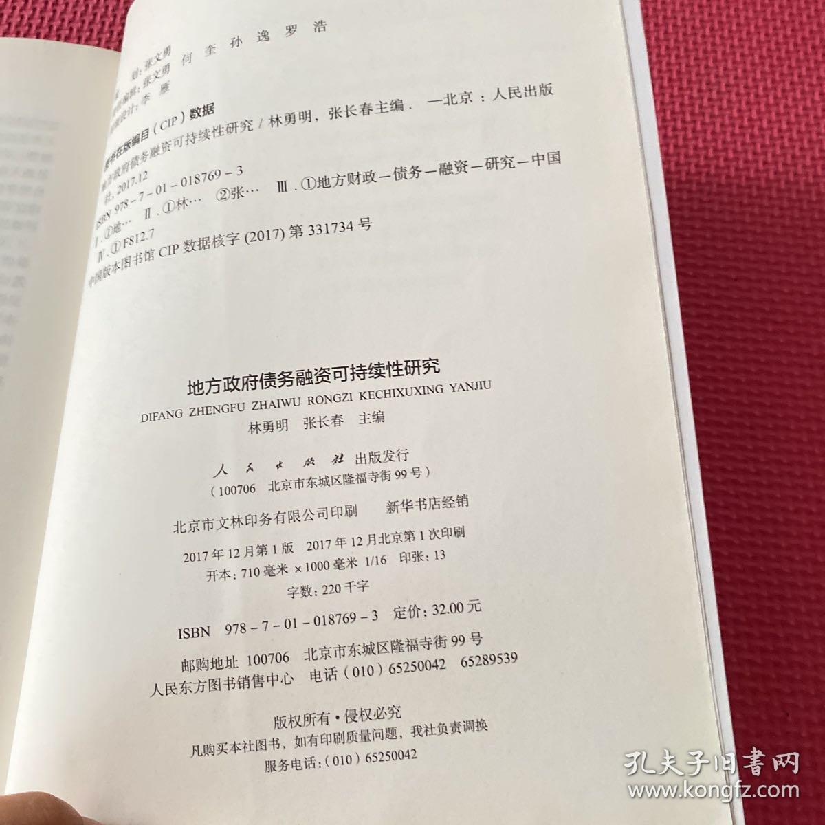 地方政府债务融资可持续性研究