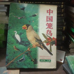 中国笼鸟