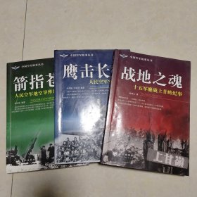 中国空军故事丛书：箭指苍穹
