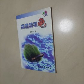 常熟綠毛龜