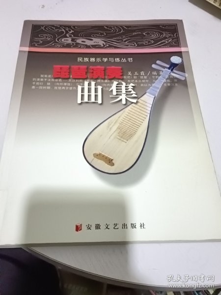 琵琶演奏曲集——民族器乐学与练丛书