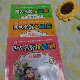 四大名著捉迷藏，《水滸傳》《西游記》，《紅樓夢》(三本合售)