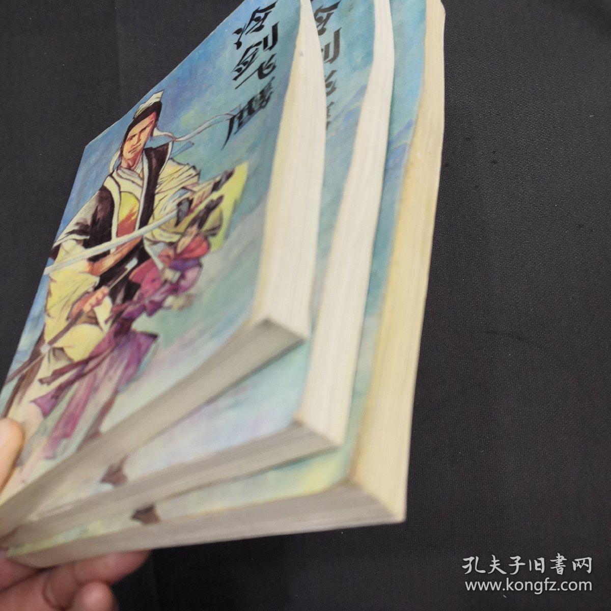 冷剑飞鹰 上中下