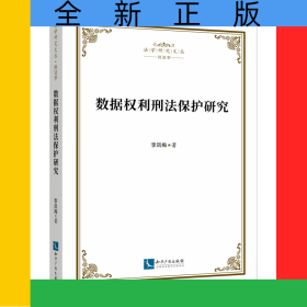 數(shù)據(jù)權(quán)利刑法保護(hù)研究
