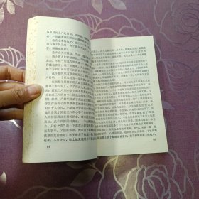 代号红叶