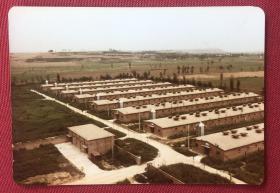 正在兴建中的陕西省西安市第一机械化养鸡场乡蛋鸡舍外景老照片