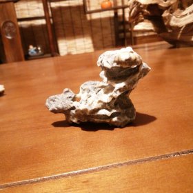 玛瑙：不知象啥鸟？请君命名