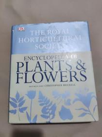 RHS Encyclopedia of Plants and Flowers