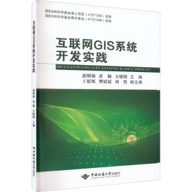 互联网GIS系统开发实践 9787562553847