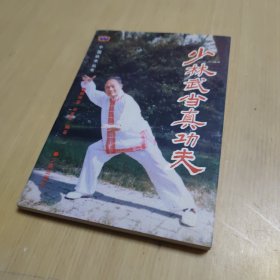 少林武当真功夫