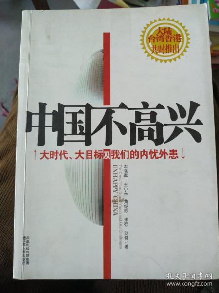 中国不高兴：大时代大目标及我们的内忧外患