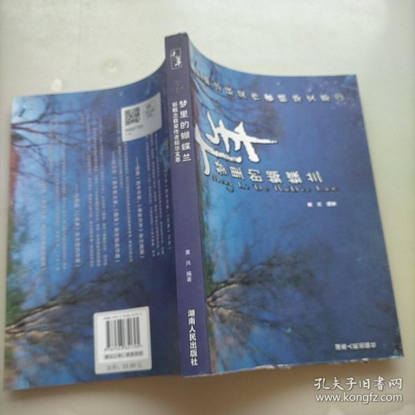 十年：梦里的蝴蝶兰/新概念获奖作者精华文萃3