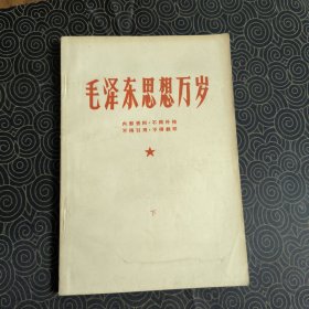 毛泽东思想万岁 下