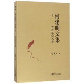 何建明文集(卷9农民革命风暴)(精)