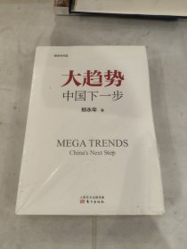 大趋势 中国下一步