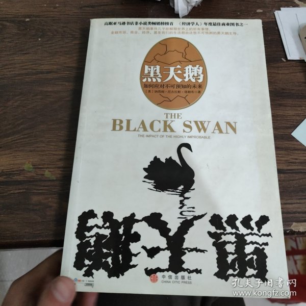 黑天鹅：如何应对不可知的未来