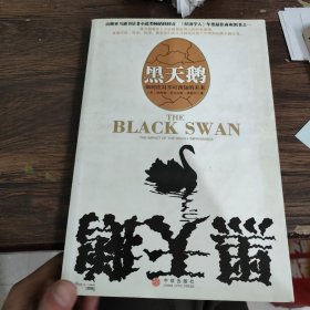 黑天鹅：如何应对不可知的未来