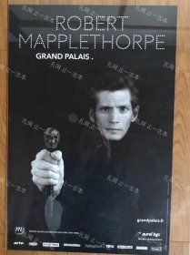 价可议 ROBERT MAPPLETHORPE nmzdjzdj