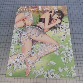 日版 SHINING WIND Collection of Visual Materials シャイニング・ウィンド ビジュアル設定資料集 Shining Wind Visual （光明之风）视觉图 设定资料集 TONY 田中贵之 画集