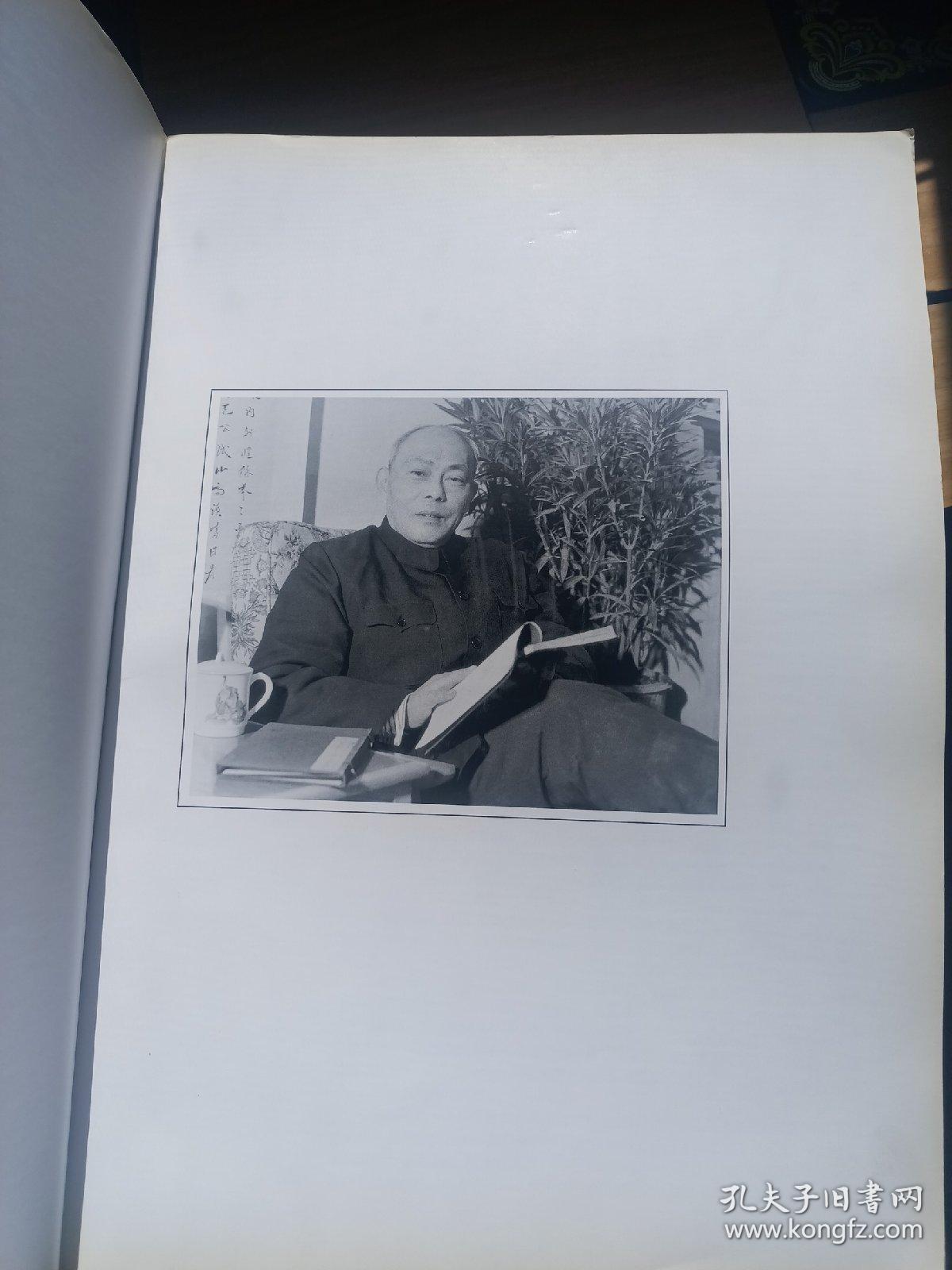 康师尧花鸟画集