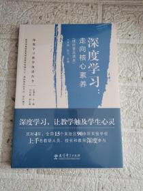 深度学习教学改进丛书 深度学习：走向核心素养（理论普及读本）