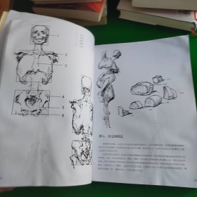 伯里曼人体结构绘画教学