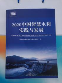 2020中国智慧水利实践与发展