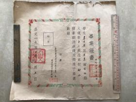 1951年，台山东坑乡日新小学毕业证书（第40号）