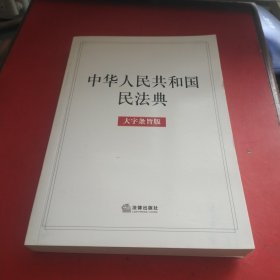 中华人民共和国民法典（大字条旨版）2020年6月