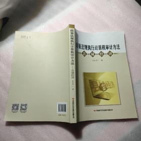 政策法规执行计算机审计方法（县域经济）