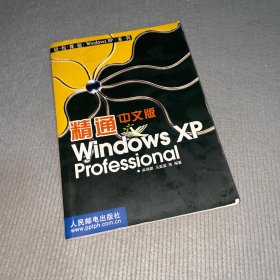 精通中文版Windows XP Professional——轻松体验Windows XP系列