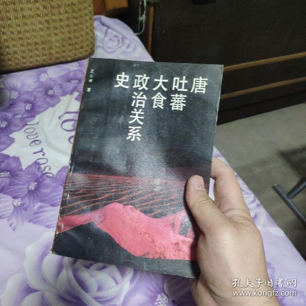 唐、吐蕃、大食政治关系史：国学研究丛刊之五