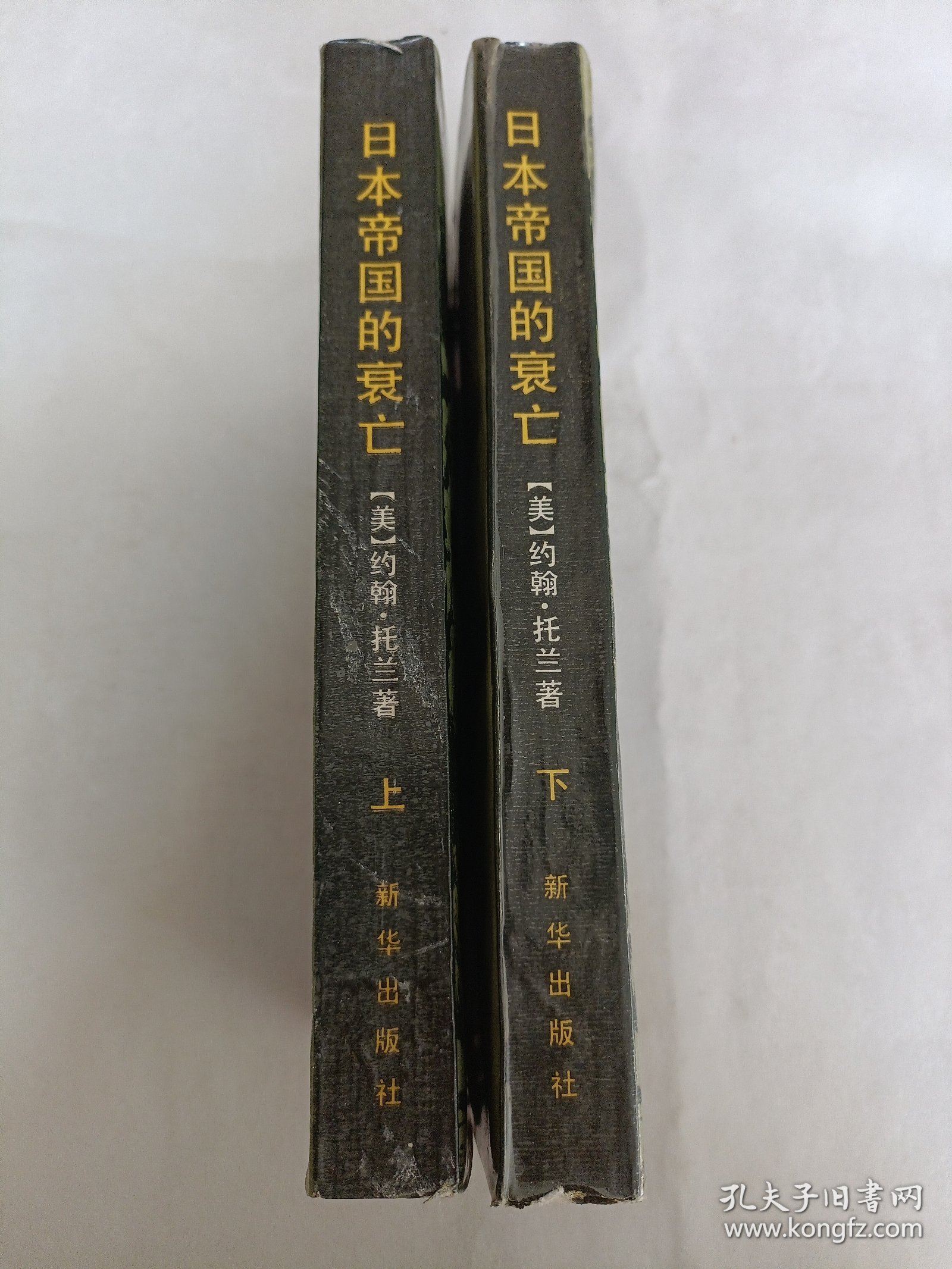 日本帝国的衰亡（上下册）