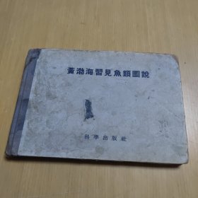 黃渤海習(xí)見(jiàn)魚(yú)類圖說(shuō)