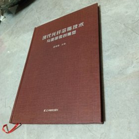 现代光纤溶脂技术与面部微创雕塑