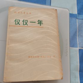 仅仅一年